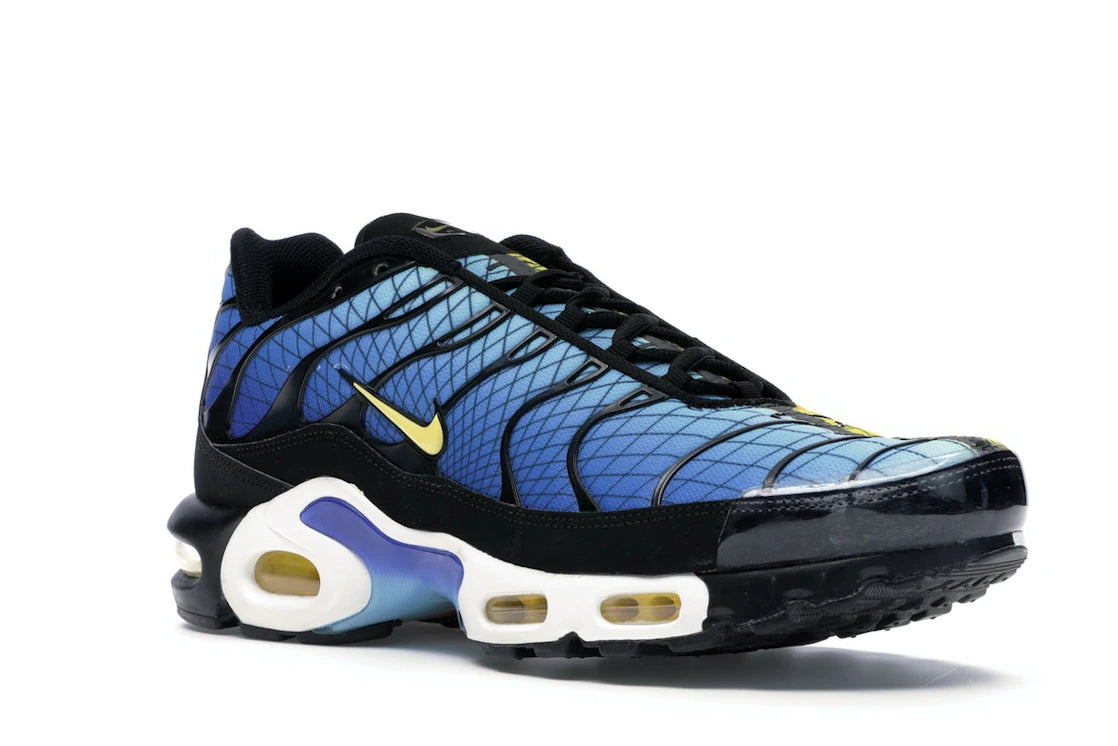 Nike Air Max Plus Greedy