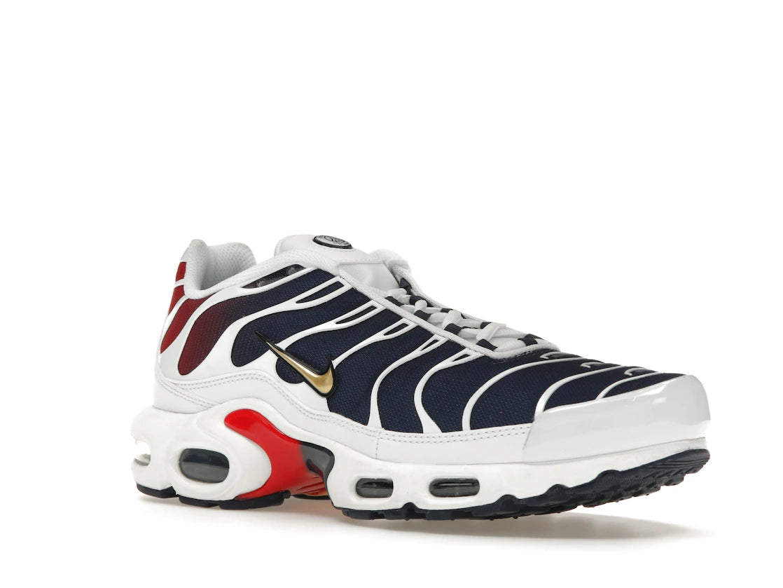 Nike Air Max Plus PSG