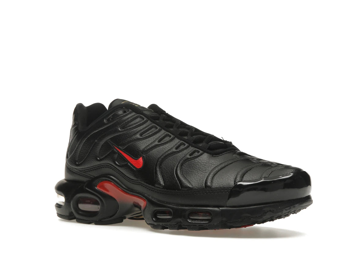 Nike Air Max Plus Premium Bred