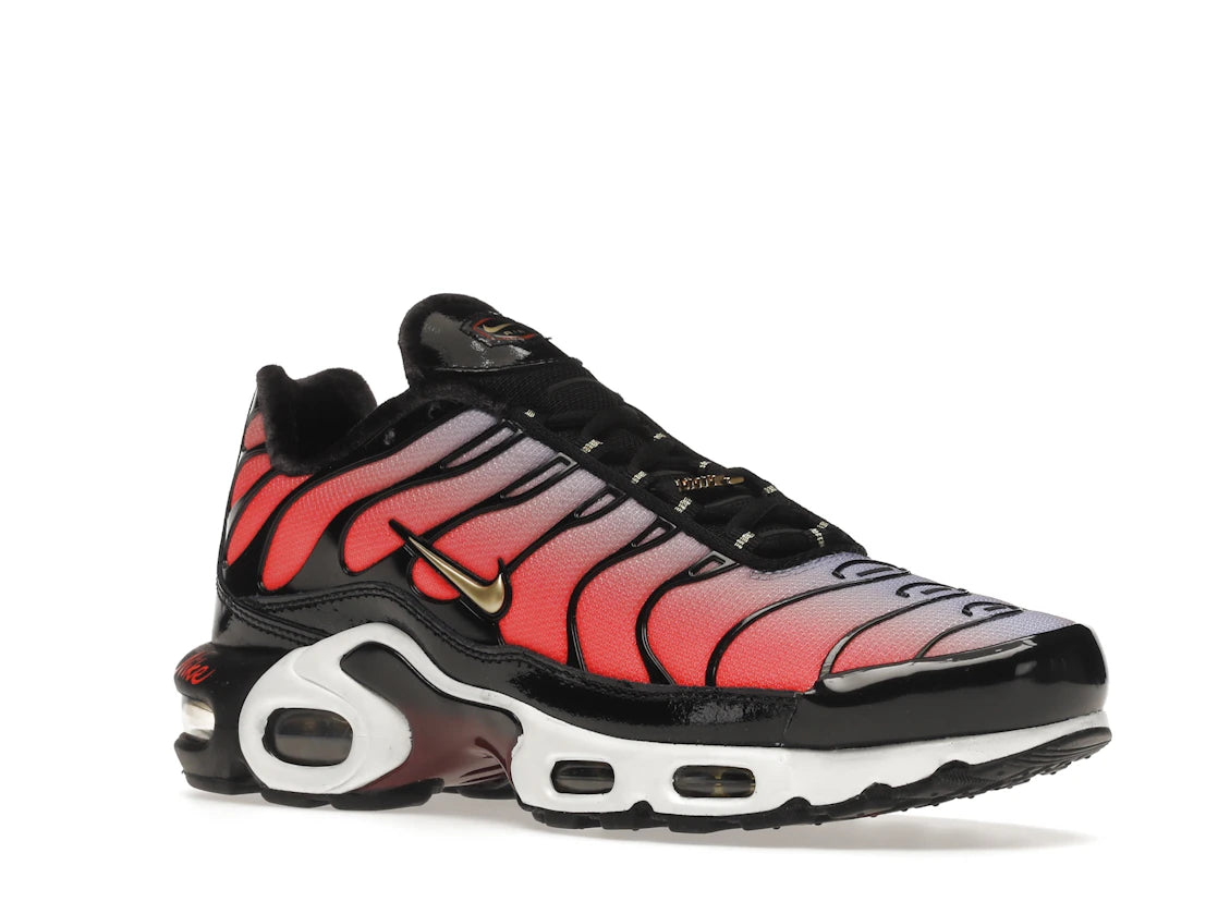 Nike Air Max Plus Sisterhood