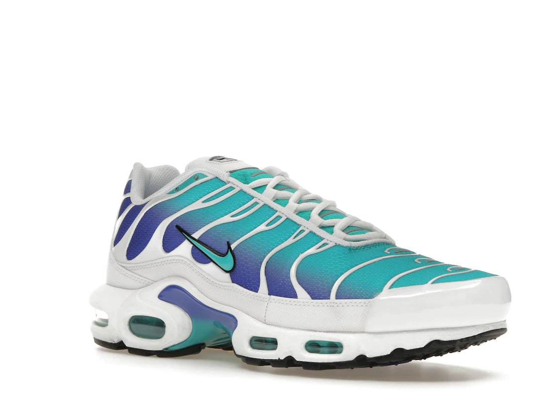 Nike Air Max Plus Aqua