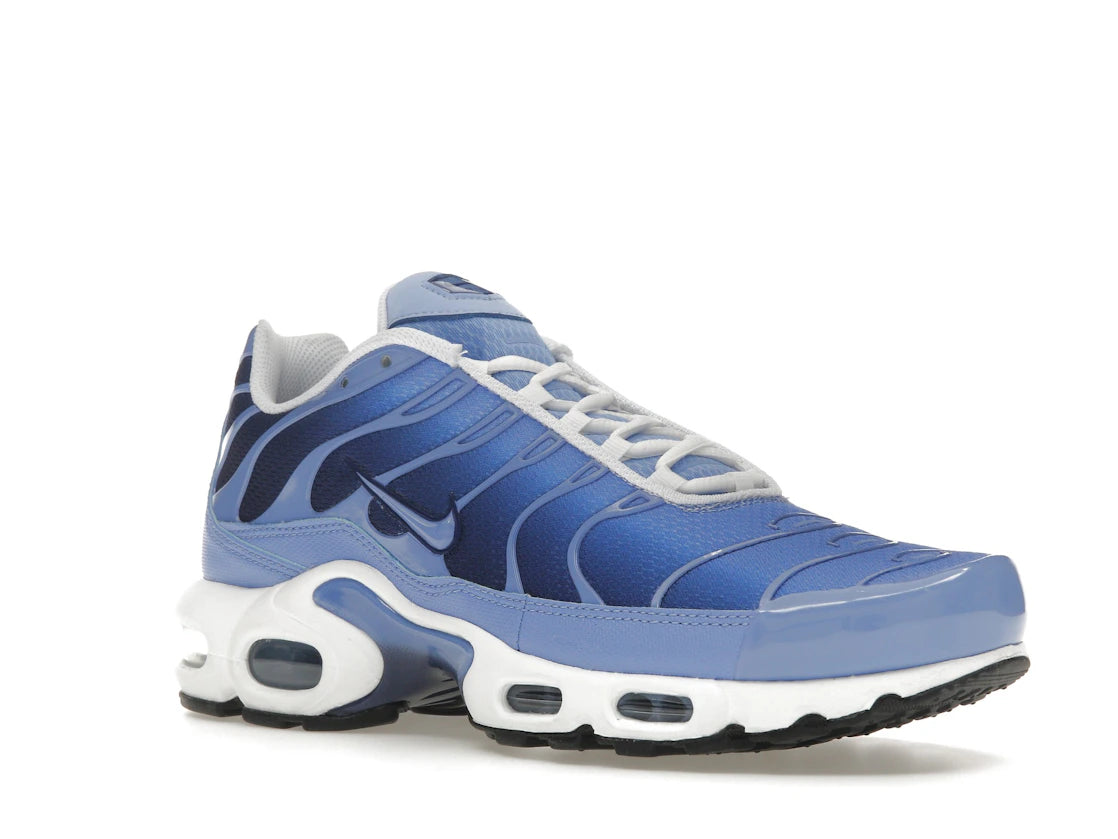 Nike Air Max Plus Royal Pulse