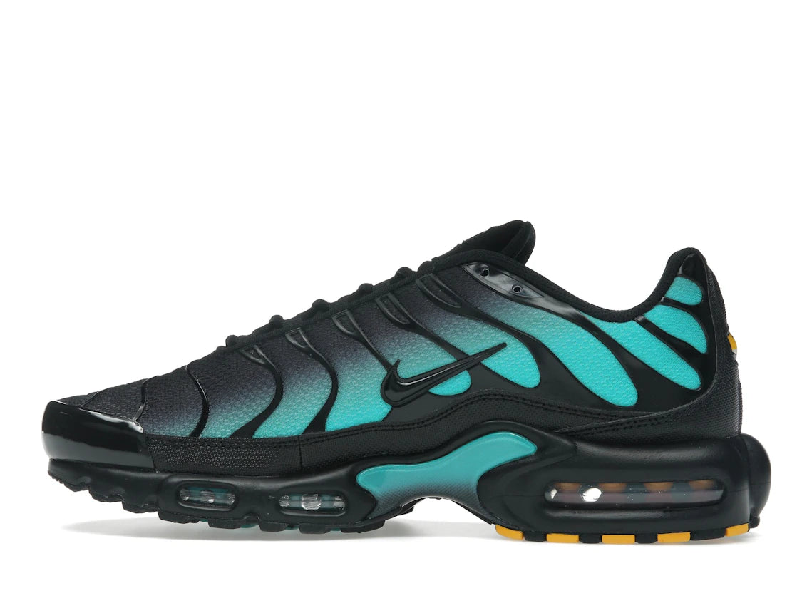 Nike Air Max Plus Black Dusty Cactus