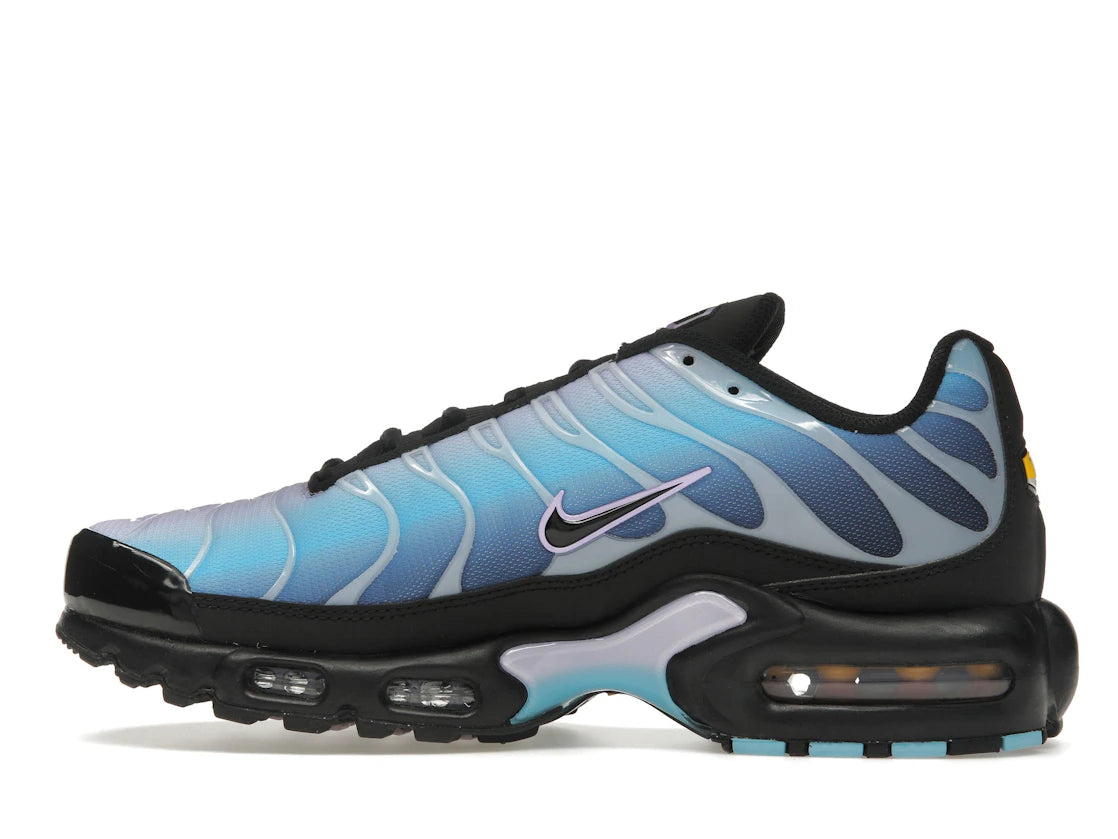Nike Air Max Plus Black Hydrangeas
