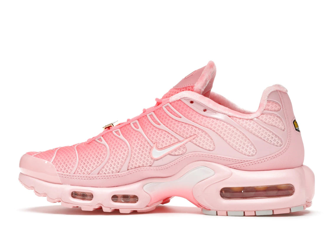 Nike Air Max Plus City Special ATL