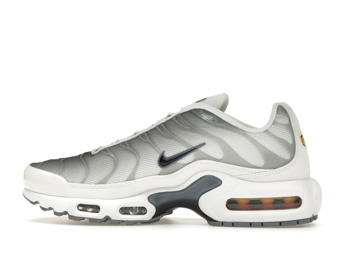 Nike Air Max Plus Smoke Grey Ashen Slate