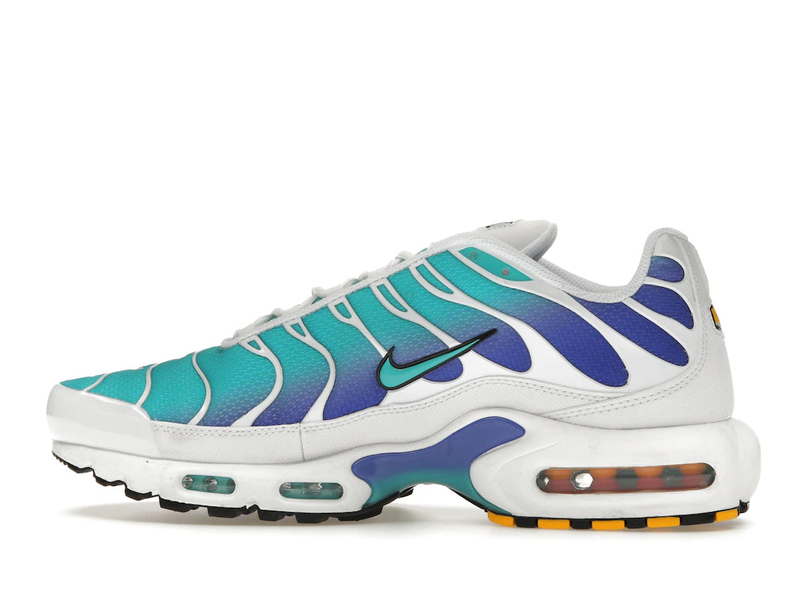 Nike Air Max Plus Aqua