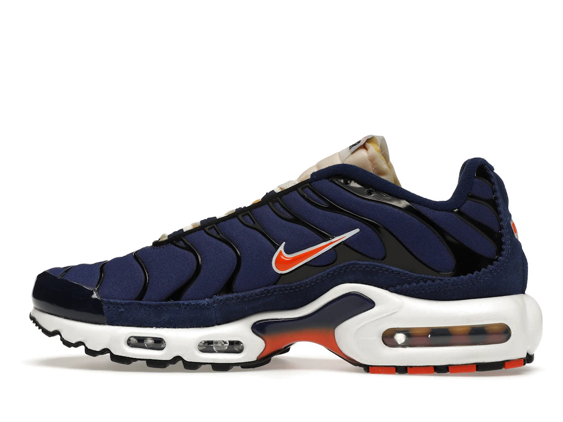 Nike Air Max Plus SE Air Max Running Club