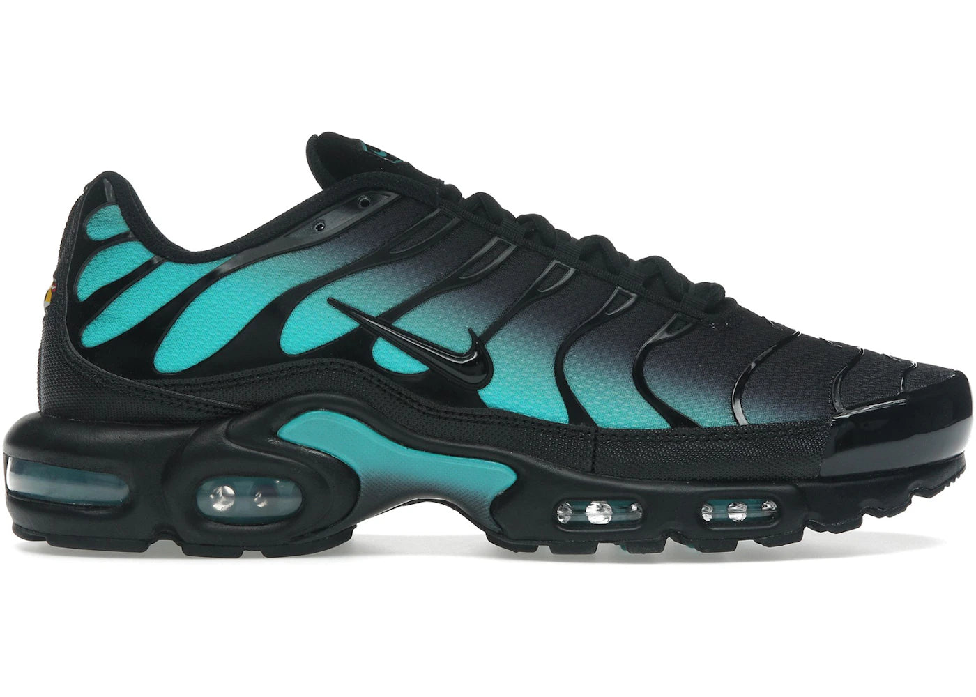 Nike Air Max Plus Black Dusty Cactus