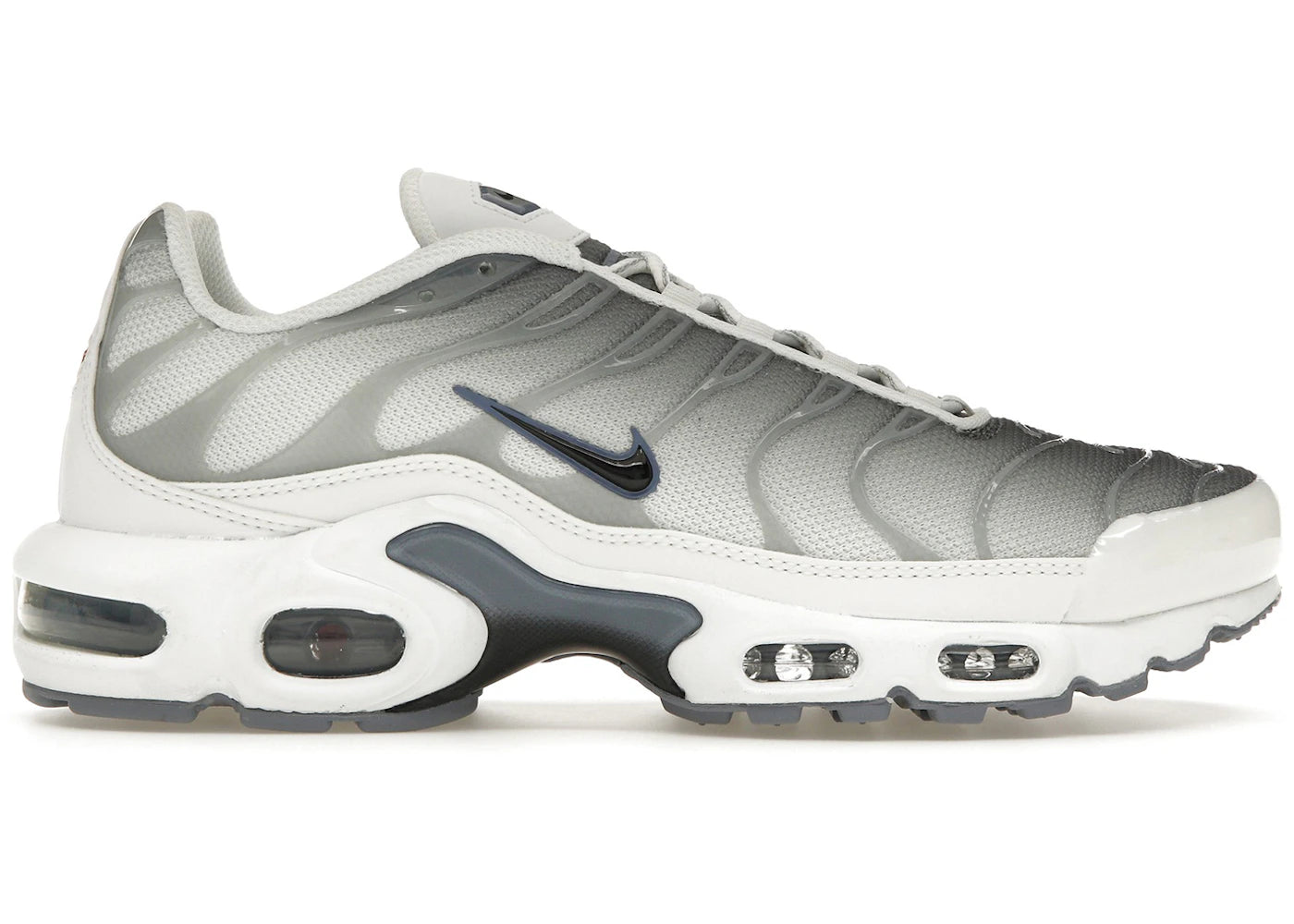 Nike Air Max Plus Smoke Grey Ashen Slate