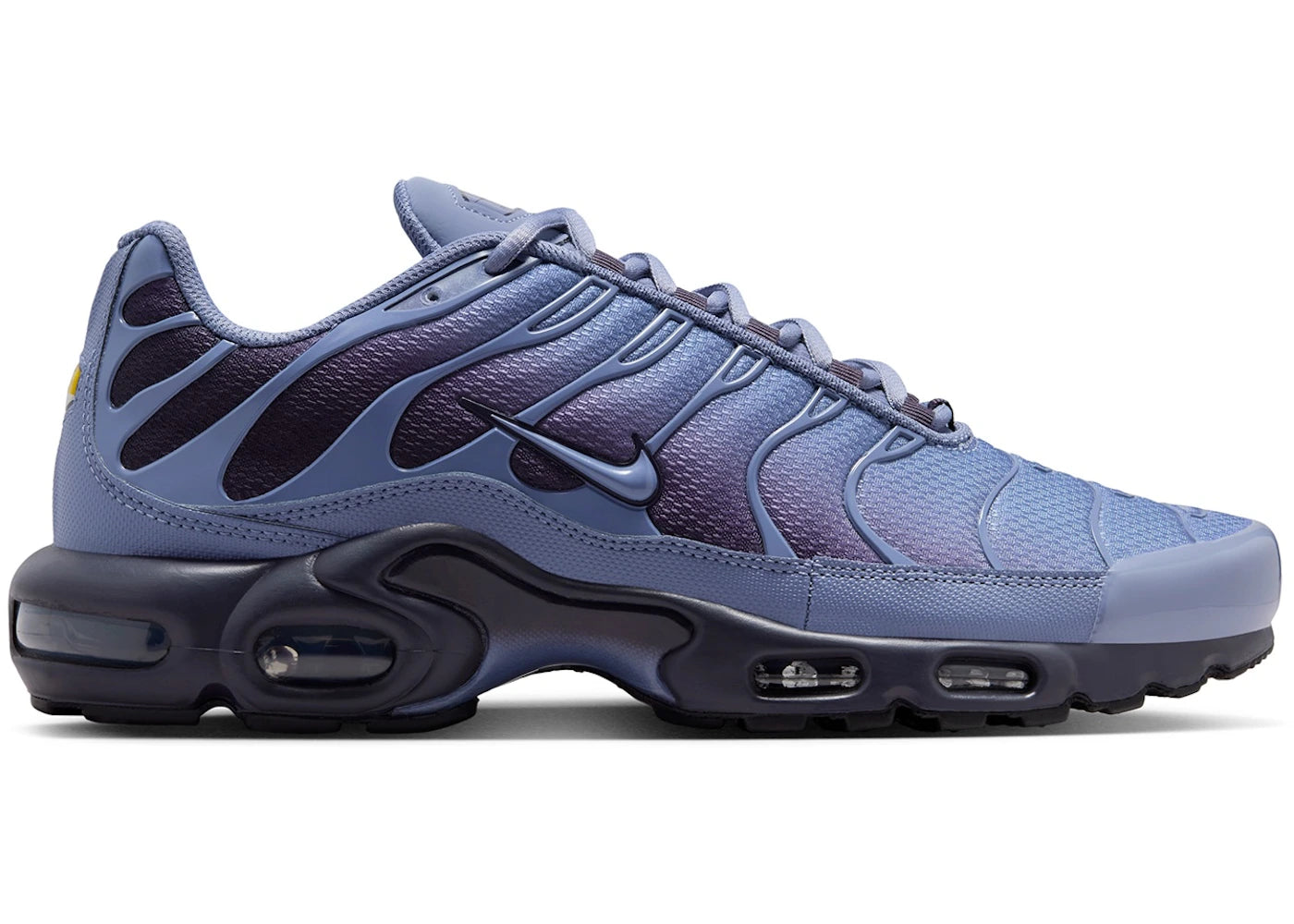 Nike Air Max Plus World Indigo