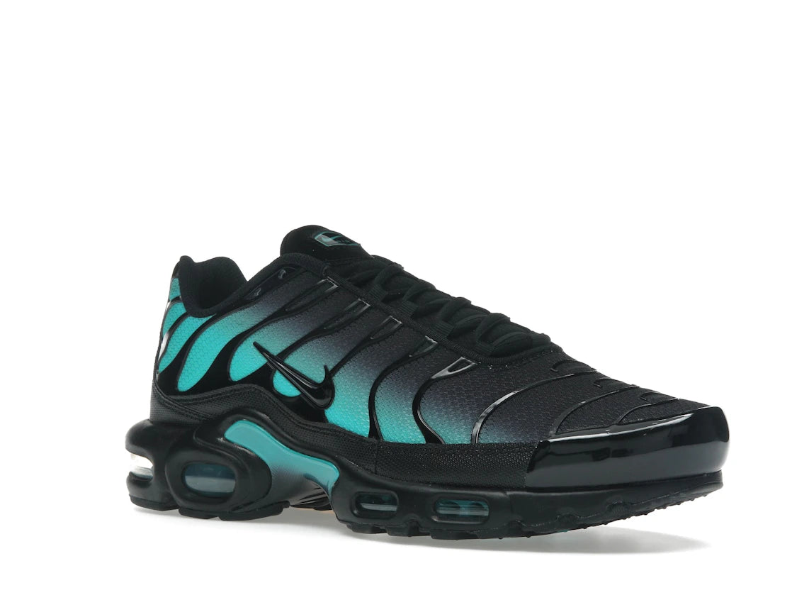 Nike Air Max Plus Black Dusty Cactus