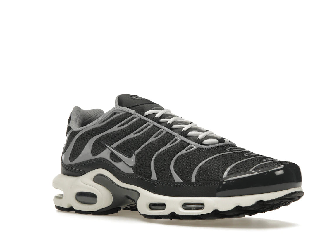 Nike Air Max Plus Greyscale Cool Grey