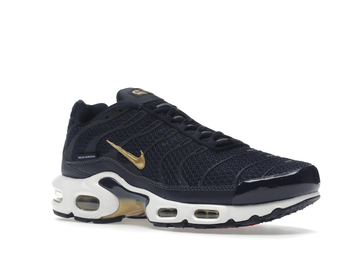 Nike Air Max Plus FFF