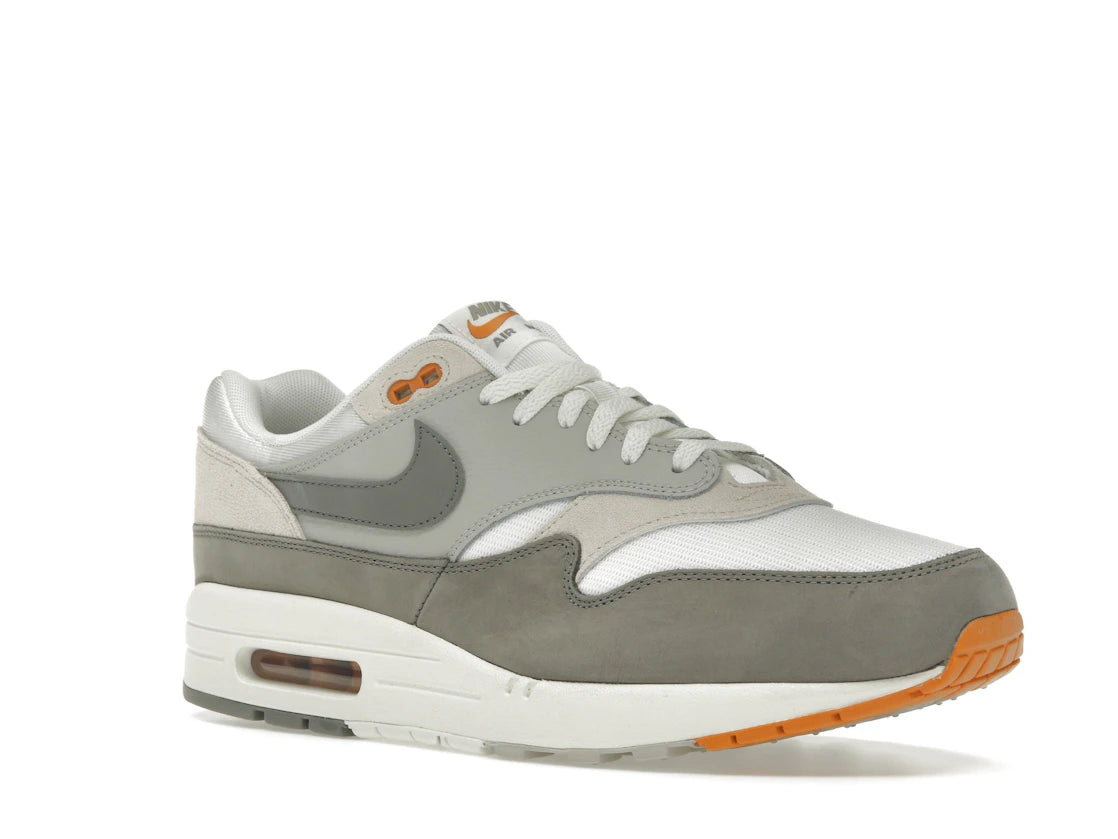 Nike Air Max 1 Light Iron Ore Flat Pewter