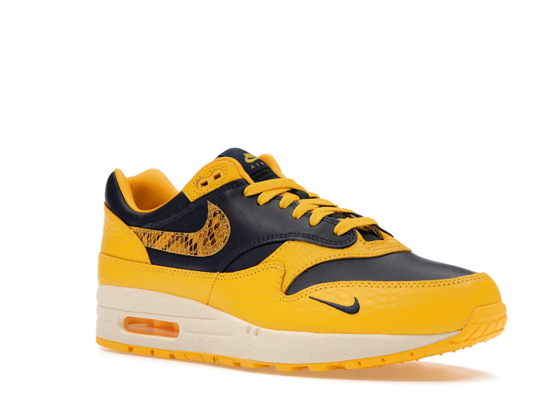 Nike Air Max 1 CO.JP Michigan Head to Head
