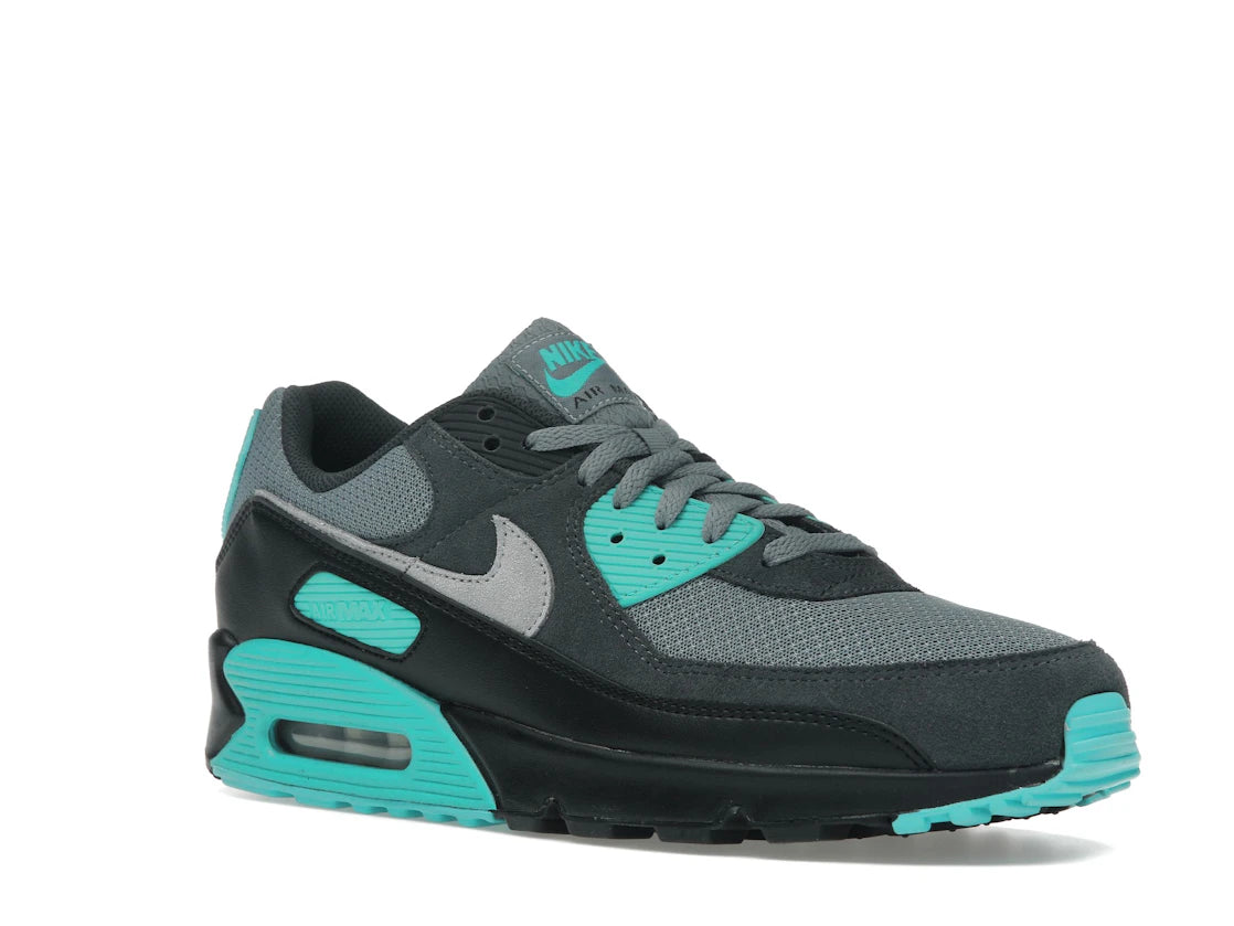 Nike Air Max 90 Cool Grey Dusty Cactus Black Wolf Grey