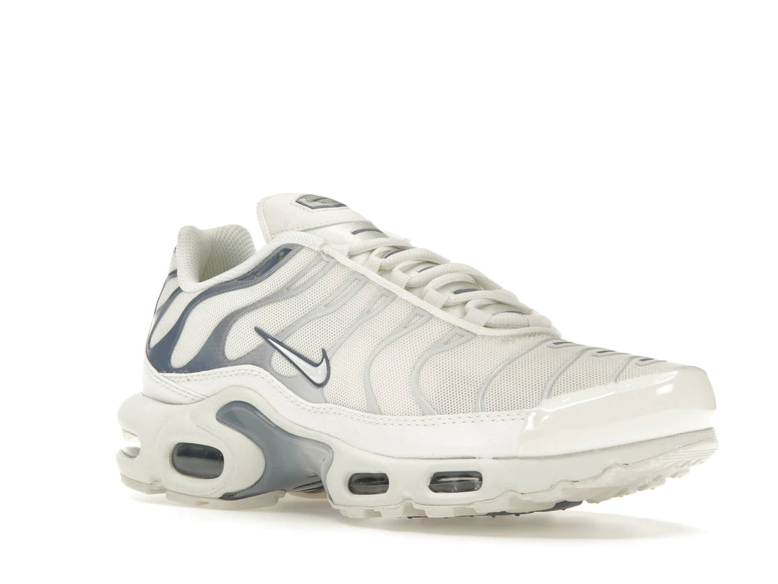 Nike Air Max Plus Ashen Slate