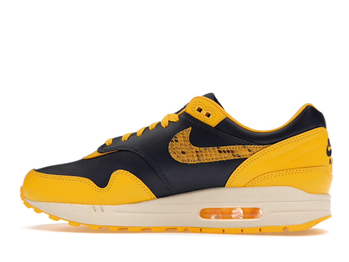Nike Air Max 1 CO.JP Michigan Head to Head