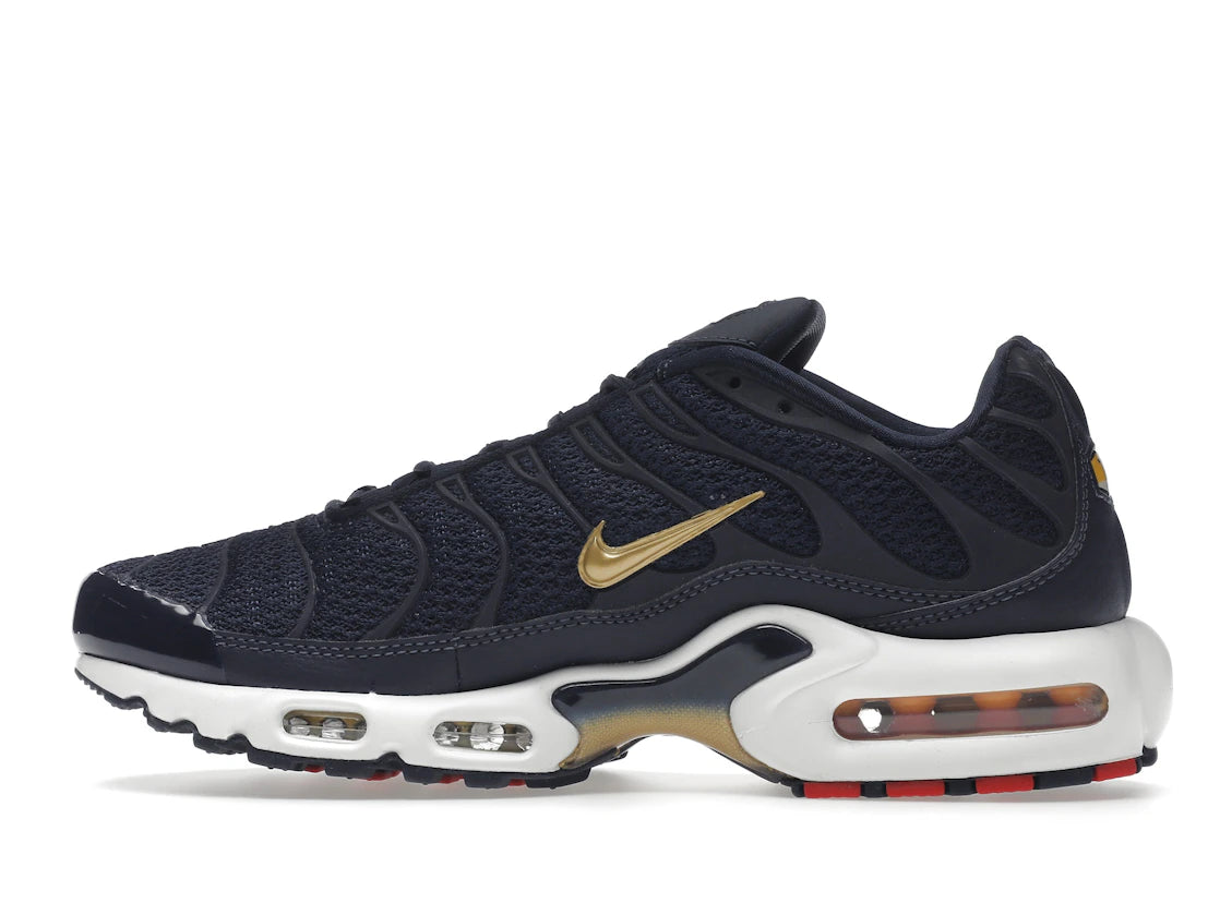 Nike Air Max Plus FFF