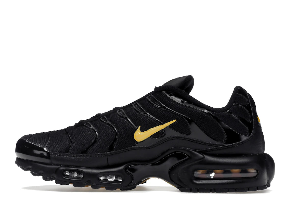 Nike Air Max Plus Multi-Swoosh Black