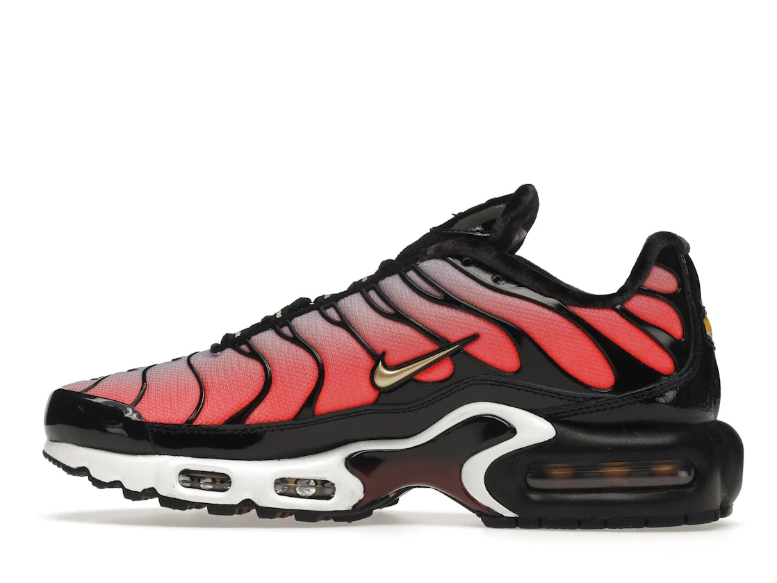 Nike Air Max Plus Sisterhood